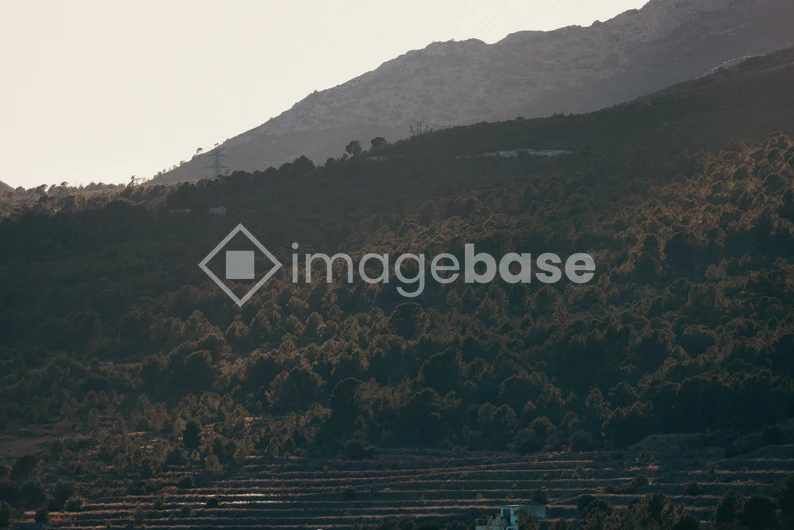 Serene Mountain Landscape