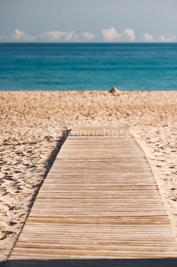 Serene Beach Pathway