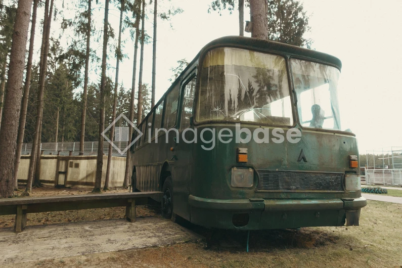 Abandoned Bus in the Forest