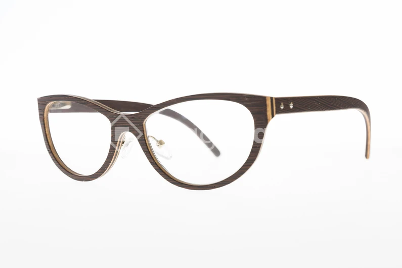 Stylish Eyeglasses