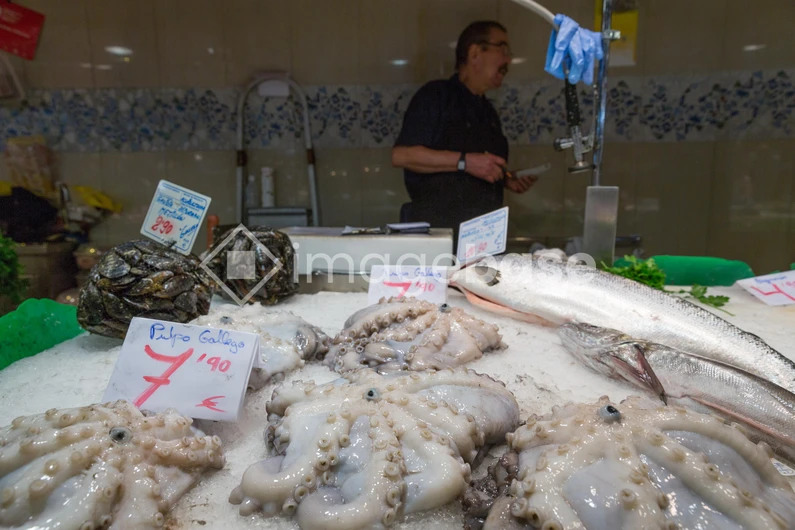 Fresh Seafood Market Display