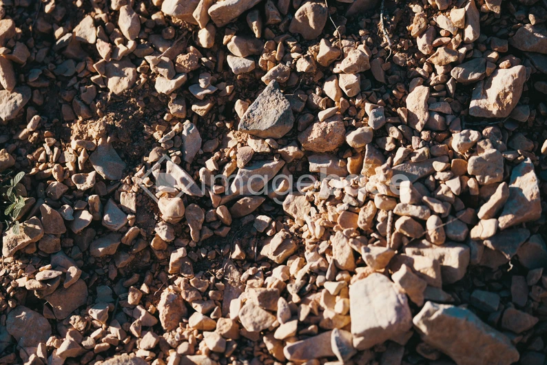 Pebble Texture Close-Up