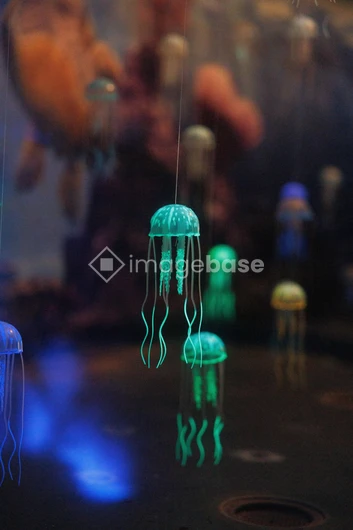 Illuminated Jellyfish