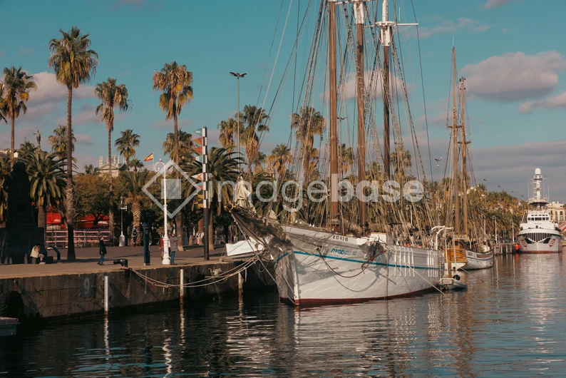 Scenic Harbor with Sailing Ships