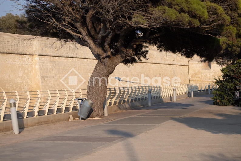 Quiet Urban Pathway