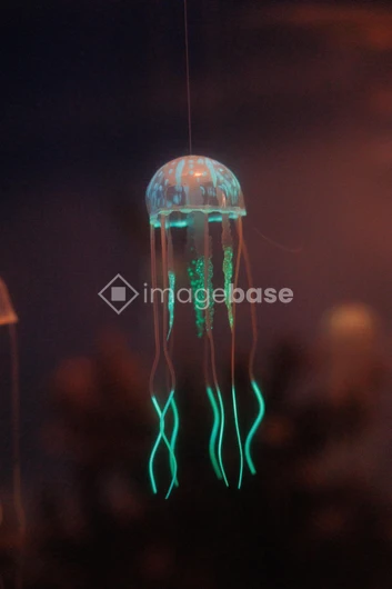 Glowing Jellyfish