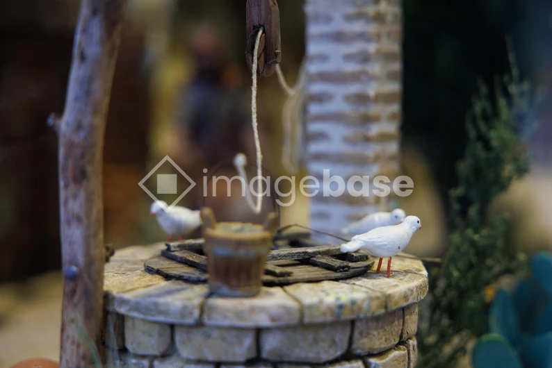 Rustic Well with Doves
