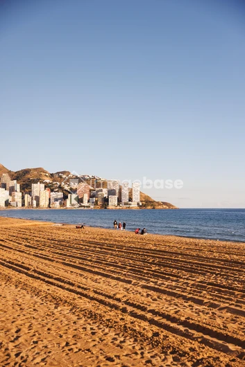 Sunlit Coastal Beachfront