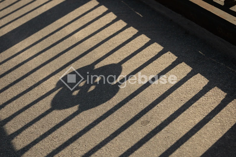 Shadow Play on Sidewalk