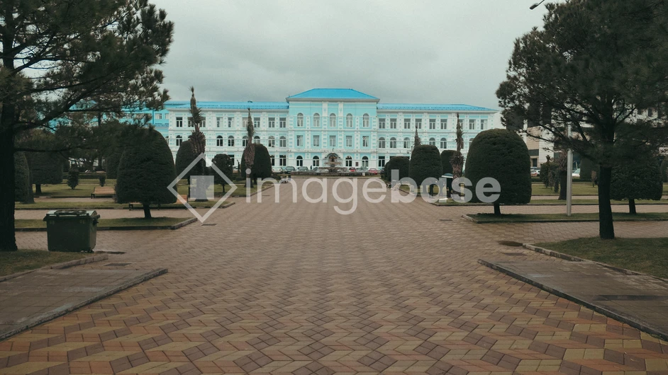 Elegant Blue Building amidst Trees