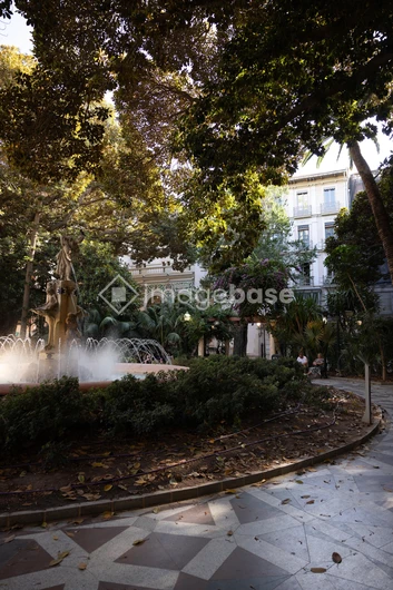 Urban Fountain in Leafy Plaza