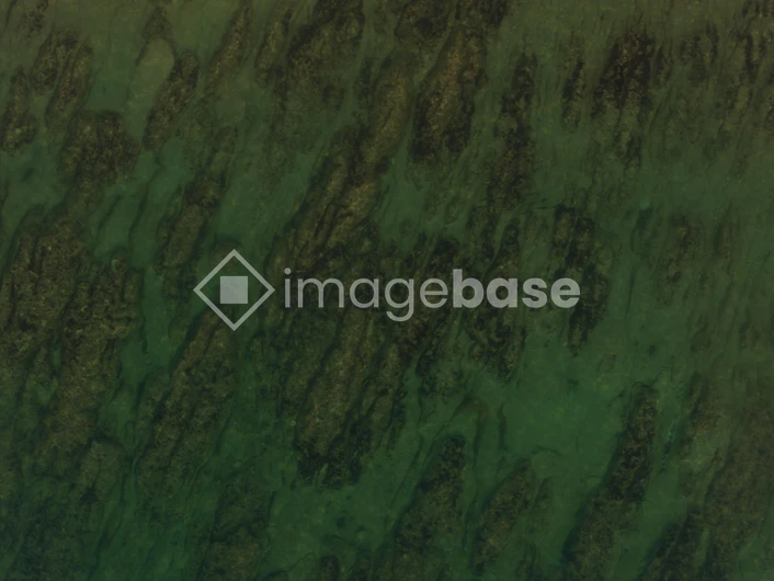 Aerial View of a Green Landscape